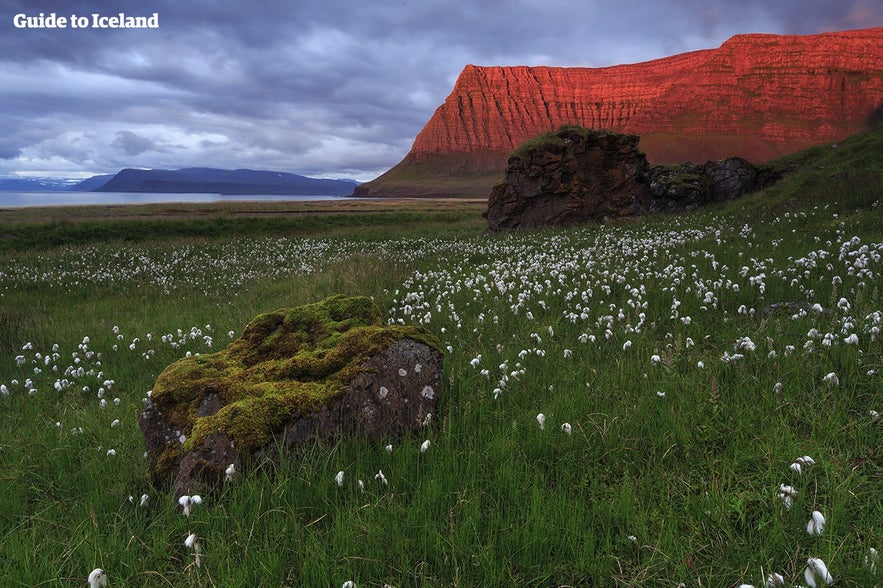 There are many remote guesthouses in the Westfjords