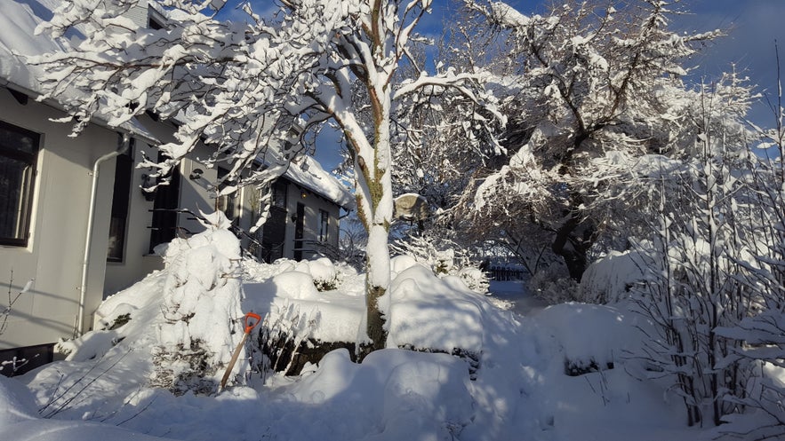 Record amount of snow in Reykjavik in february 2017 - photos and video