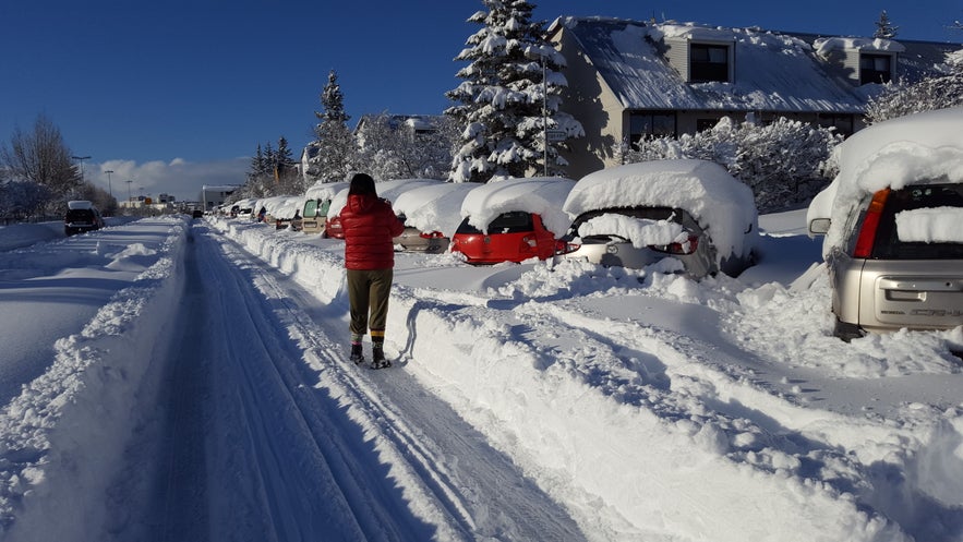 Record amount of snow in Reykjavik in february 2017 - photos and video