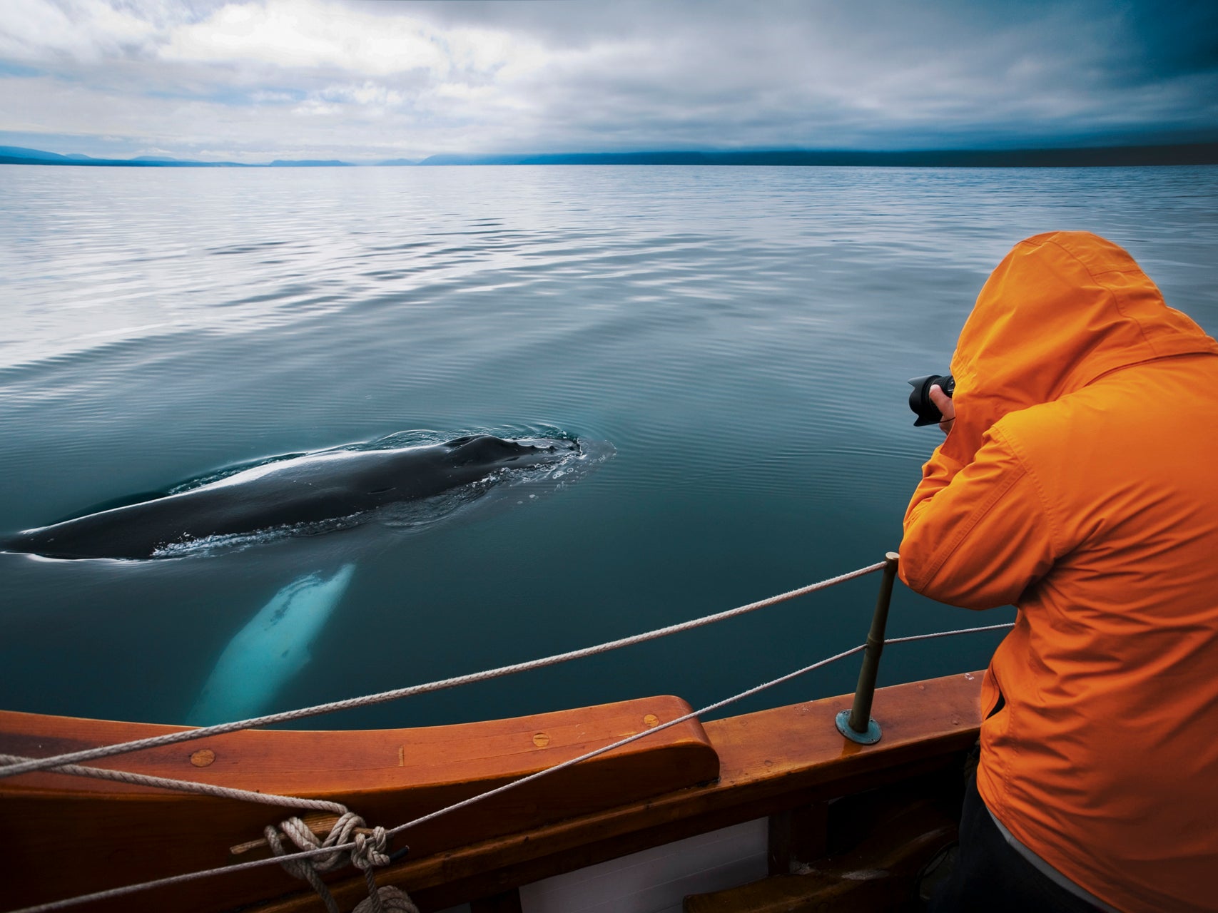 Natuurfotografen leven zich uit tijdens walvisexcursies vanuit Húsavík.