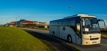 Dojazd z Keflavíku do Reykjaviku nie mógłby być łatwiejszy dzięki regularnie kursującym autobusom.