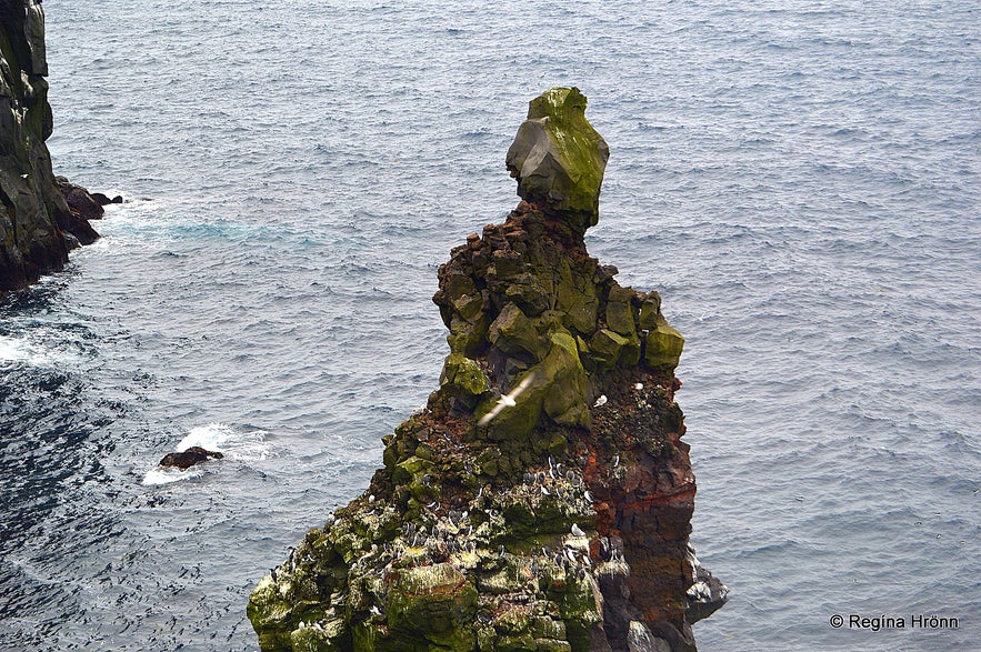 At Skálasnagi Snæfellsnes