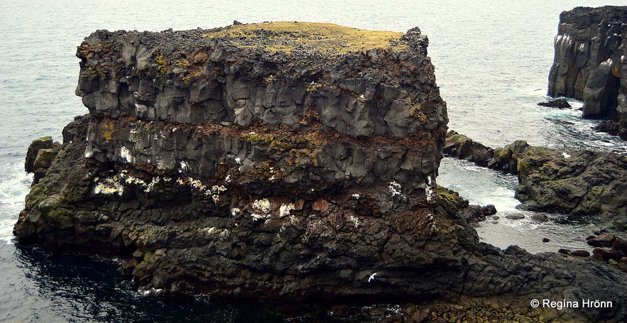 Hvalrauf Snæfellsnes