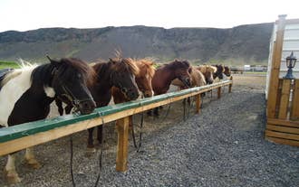 Le guide vi abbineranno un cavallo adatto al vostro carattere e alla vostra indole.