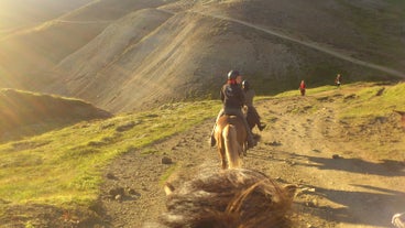 On the hot spring riding tour, you will be exposed to the dramatic landscapes above Hveragerdi town.