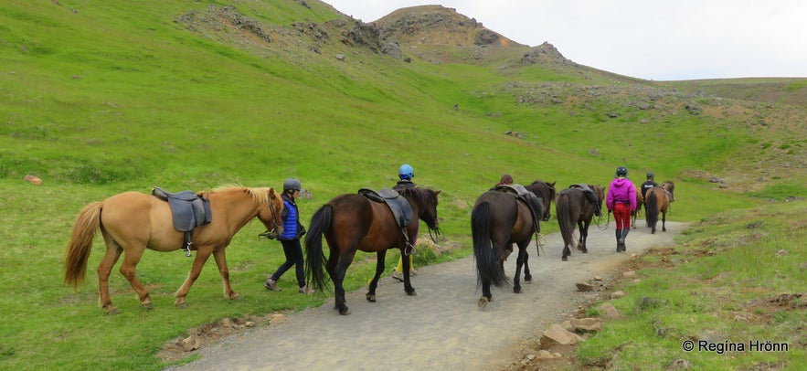 Horses on the trail to Reykjadalur