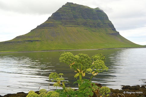 The Extraordinary Game of Thrones Locations I have visited on my Travels in Iceland