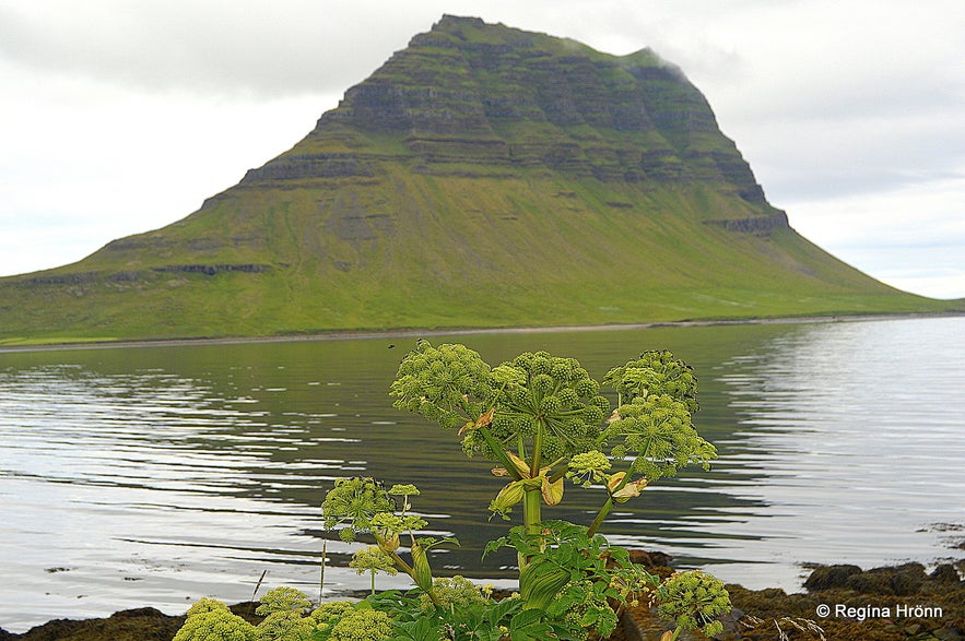 Kirkjufell mountain in Grundarfjörður on Snæfellsnes peninsula, west Iceland