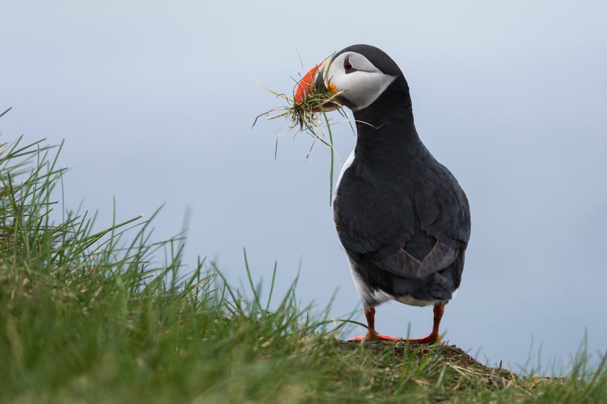 The western Westfjords as a Photography Location