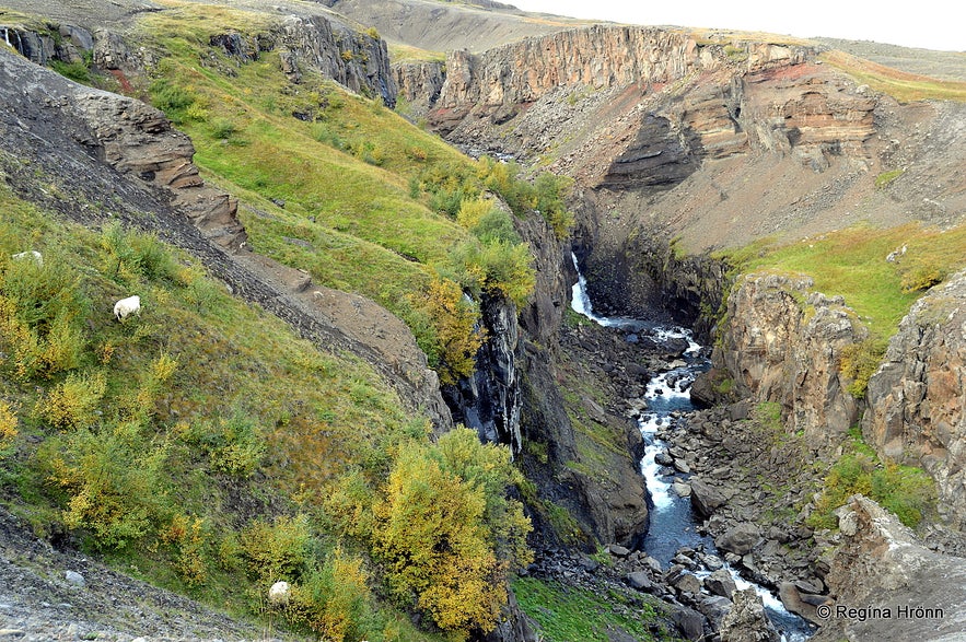 Hengifossárgil gorge