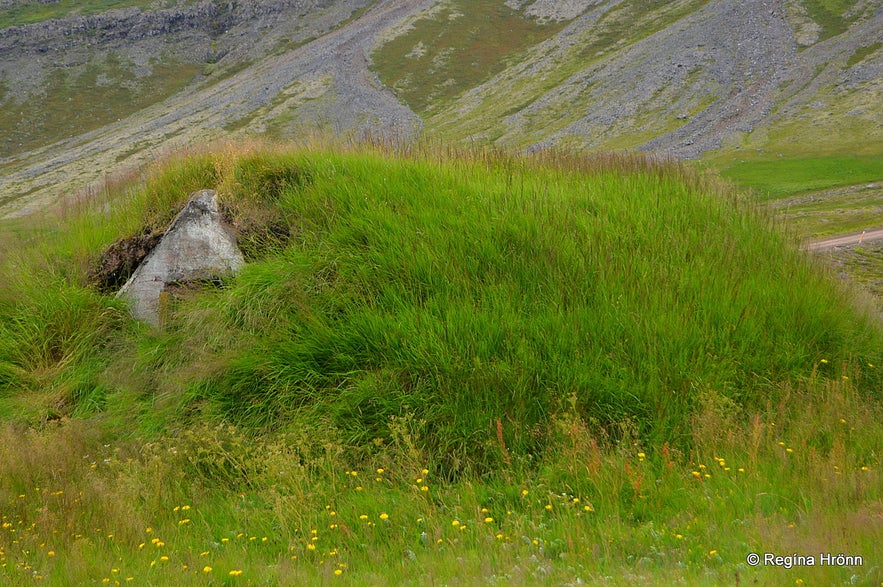 A turf shed inside a grass hill by the pool