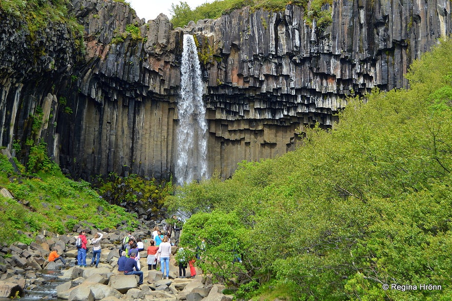 Svartifoss