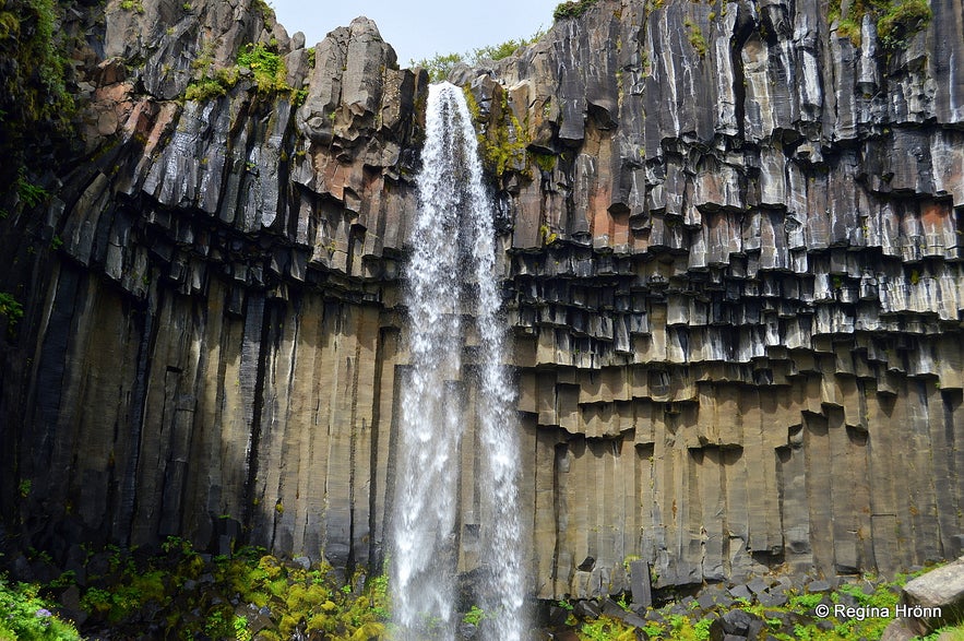 Svartifoss waterfall Skaftafell South-Iceland