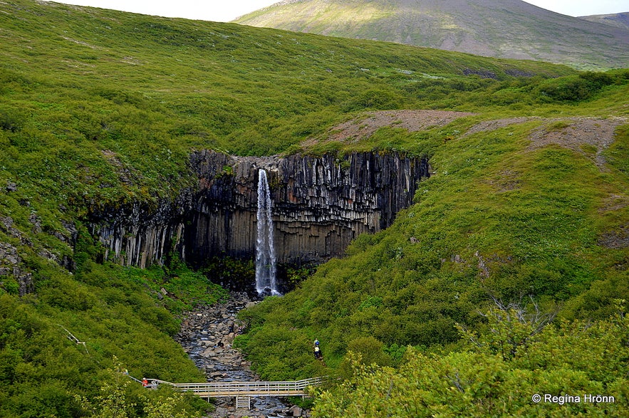 Svartifoss waterfall in Skaftafell, south Iceland