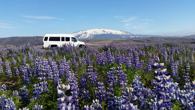 Superjeep-Tour durch Landmannalaugar mit Abholung von der Südküste oder Reykjavik