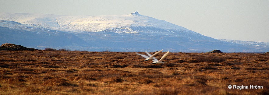 Kerlingarskarð Pass in Snæfellsnes in West-Iceland - the Folklore of the Giantess &amp; her Fiancé&nbsp;