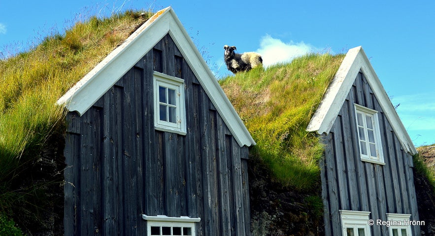 Þverá turf house N-Iceland