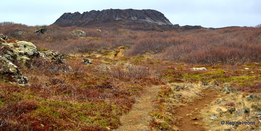 Eldborg Scoria Crater on Snæfellsnes in West-Iceland