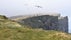 latrabjarg cliffs westfjords birds people hiking fog coast west shutterstock 2000px.jpg