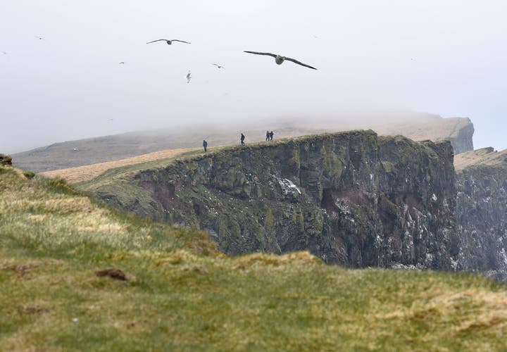 5 Tips For Your Westfjords Road Trip