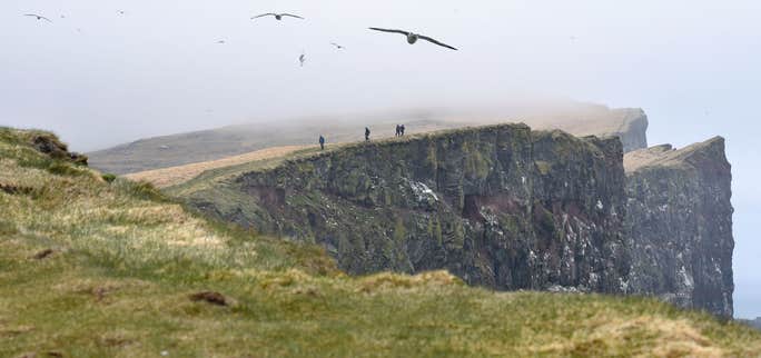 5 Tips For Your Westfjords Road Trip
