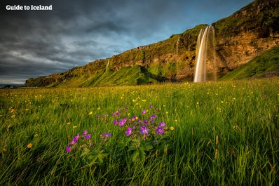 De eerste grote waterval die bezoekers die de zuidkust verkennen zullen zien, is de serene en unieke Seljalandsfoss.