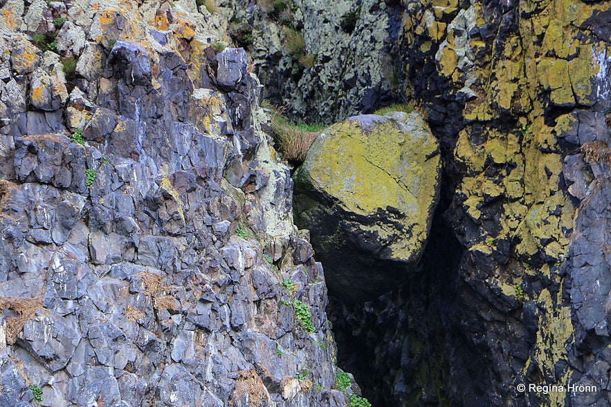 Hvítabjarnareyja island (Polar bear island)