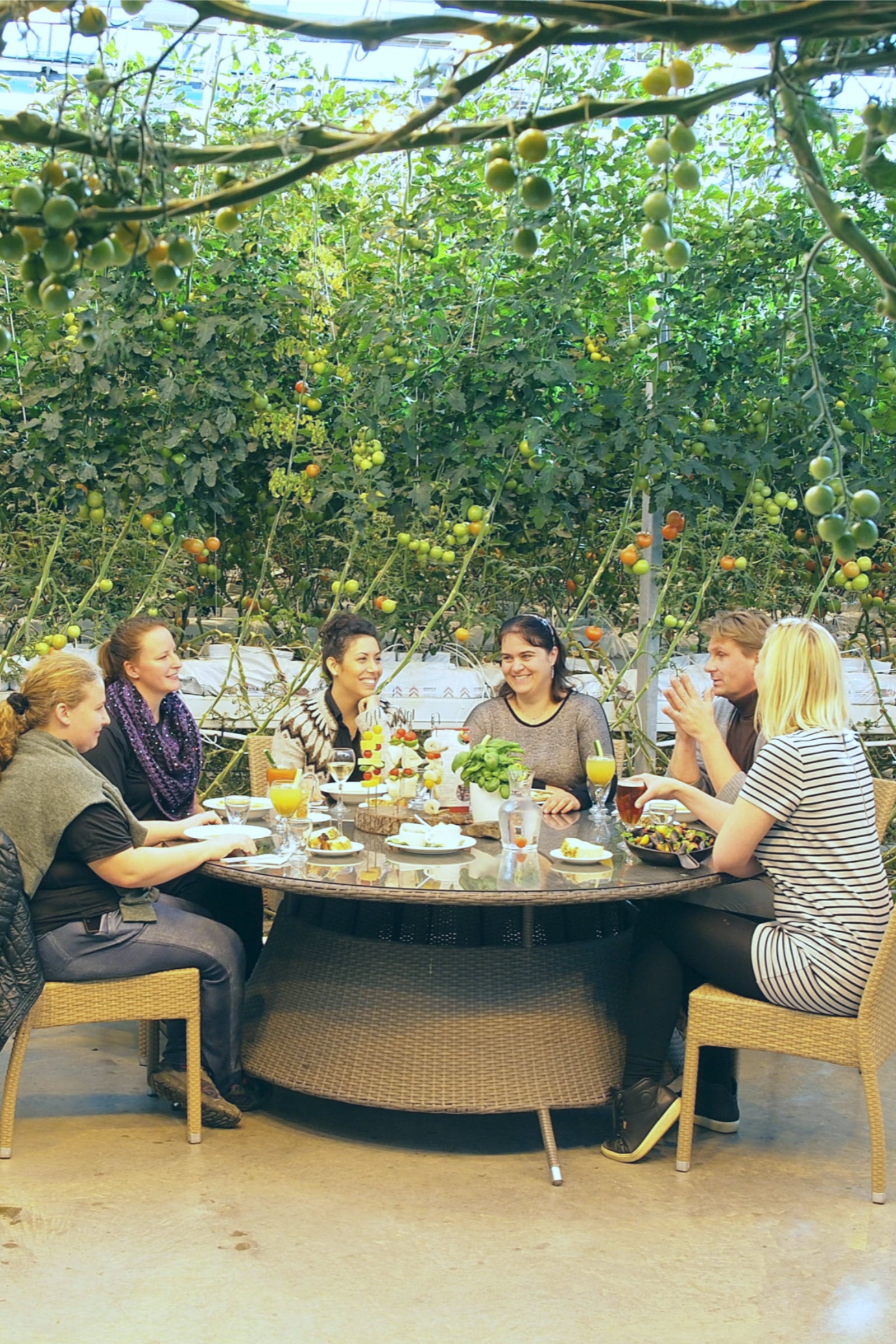 Customize this private Golden Circle tour with an optional visit to the Fridheimar tomato farm.