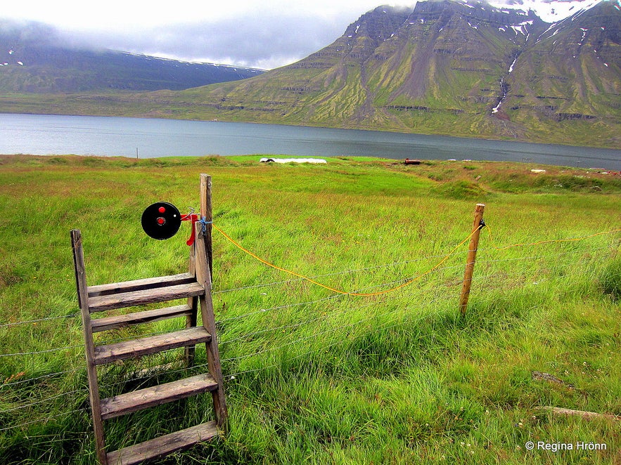 Stiles on the path leading to Dvergasteinn