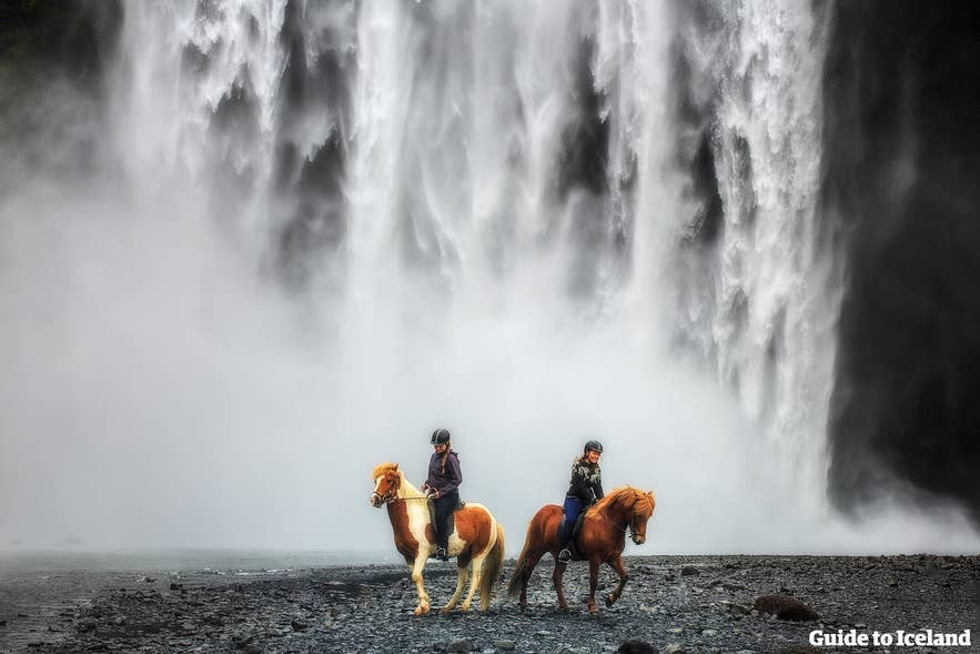 Modern Icelandic leisure riders on horseback near Skogafoss waterfall on the South Coast