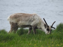 DSCN2106.jpg