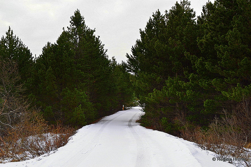 The road leading to the Secret Cabin of Thor