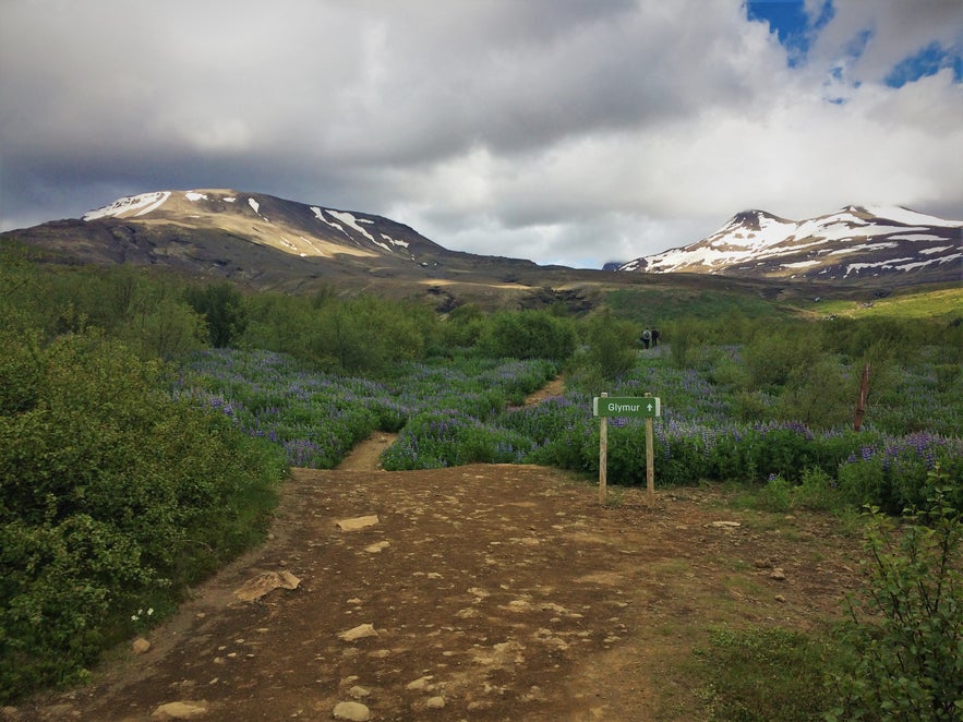 Der Beginn der Wanderung zu Glymur