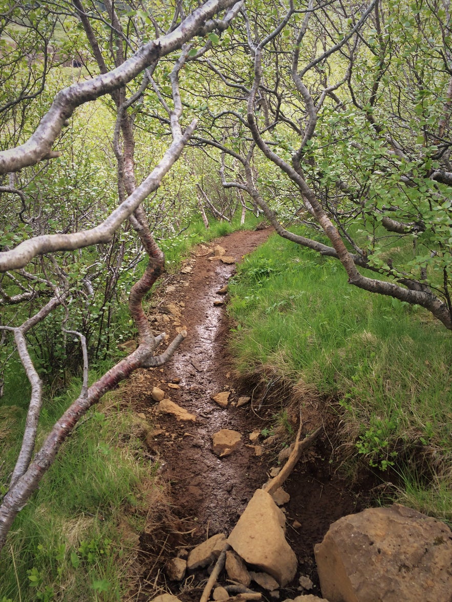 Der Rückweg von Glymur am Westufer