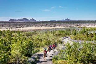 From the back of your horse in summer, you'll note the contrasts of the green and purple fields against the lava and volcanoes of the Reykjanes Peninsula.