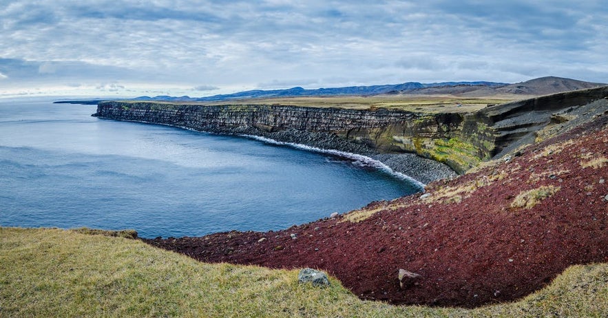 These cliffs are some of the best in Iceland for birdwatching.