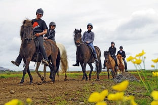 De wilde bloemen van Zuid-IJsland dragen bij aan de schoonheid van een ritje op een IJslands paard.