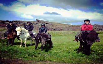 This morning riding tour is perfect for family bonding.