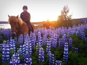 Colorful flowers are some of the many beautiful sights on this evening riding tour.