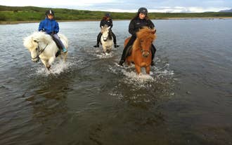 Three women riding Icelandic horses through a stream.