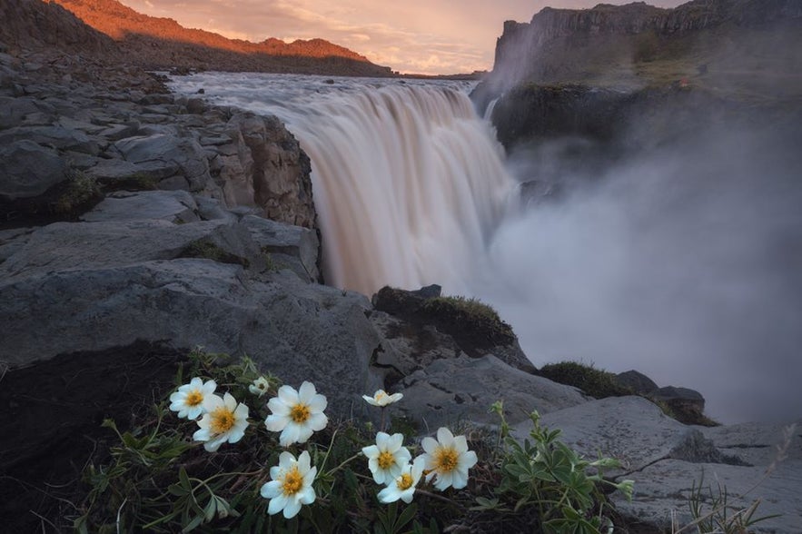 Non perderti la cascata Dettifoss lungo la Ring Road.