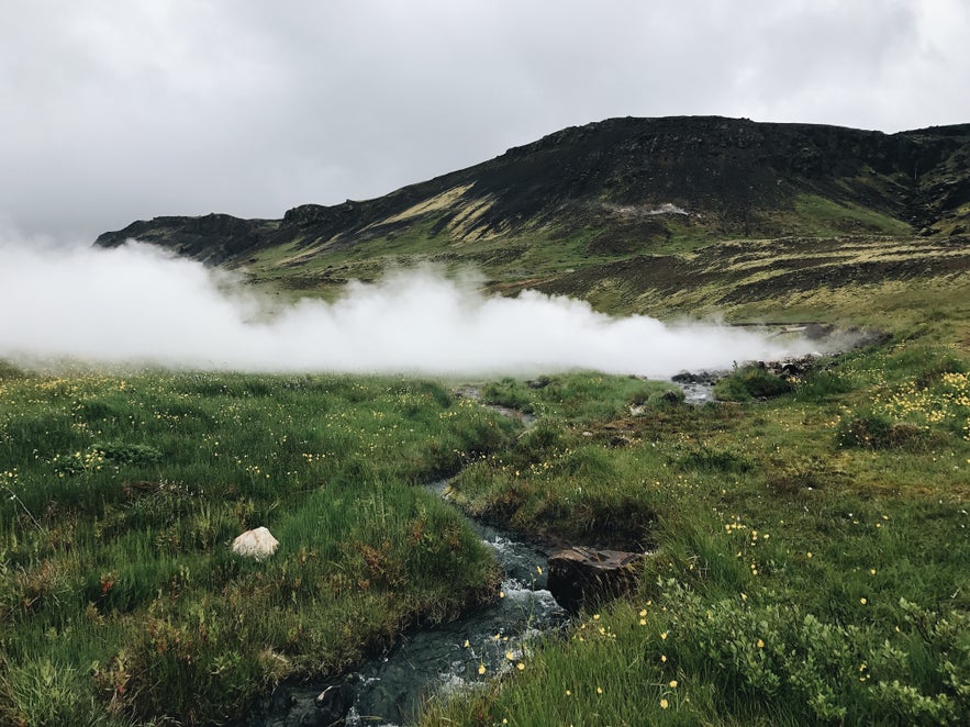 冰島Hveragerði 溫泉鎮