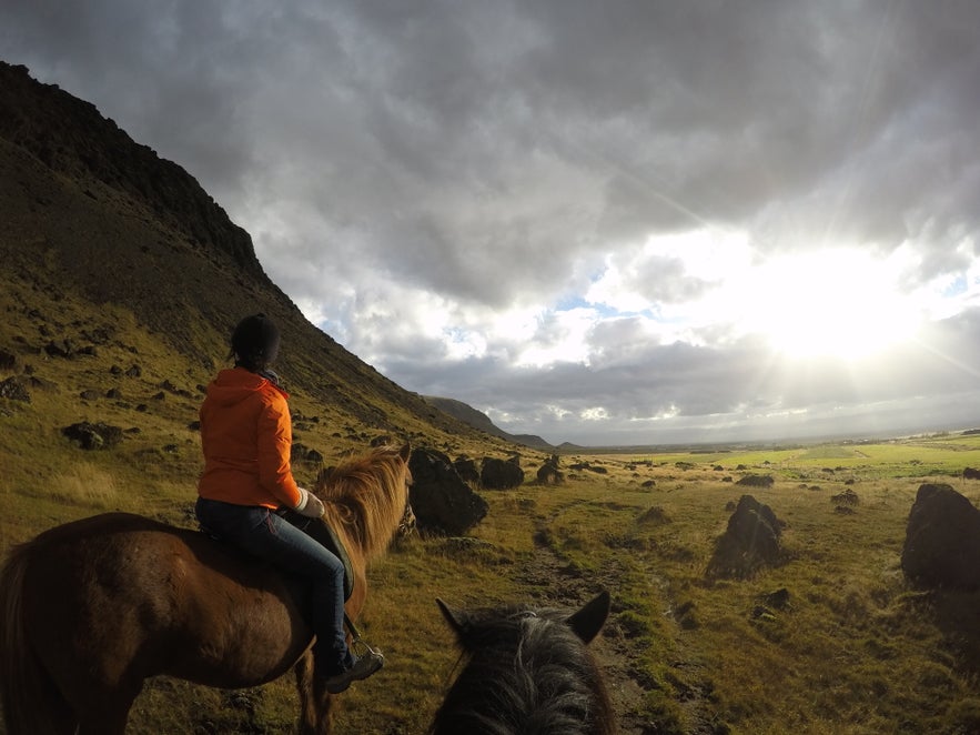 Horseback Riding in Iceland