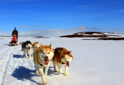 Iceland in November: Everything You Need To Know