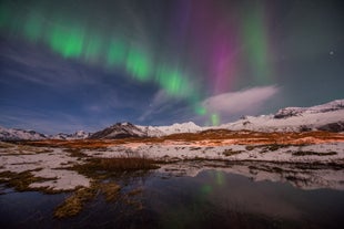 De besneeuwde landschappen van IJsland in de winter vormen in combinatie met het noorderlicht een sprookjesachtig ijslandschap.