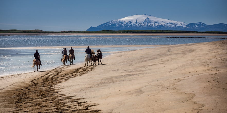 Horse riding in Iceland