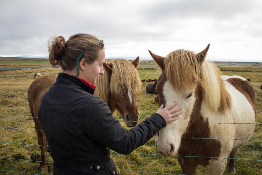 Katelyn patting horses