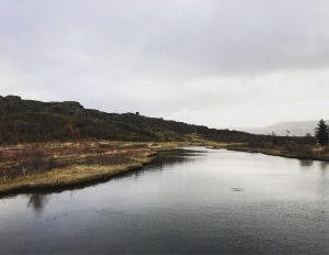 img_1052