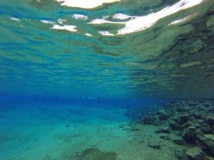 DCIM101GOPRO