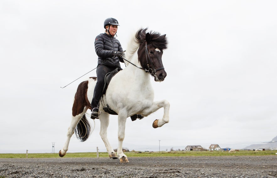 Horseback riding